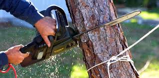 Best Weed Control  in Glendora, CA