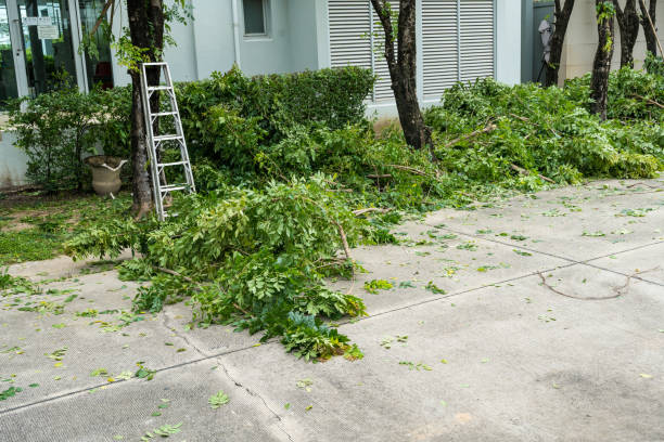 Best Palm Tree Trimming  in Glendora, CA